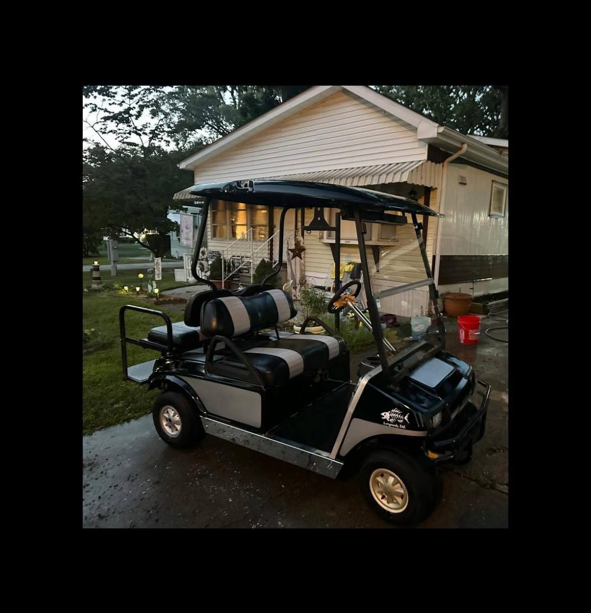 Freshly detailed golf cart by Rubber Ducky's Detailing